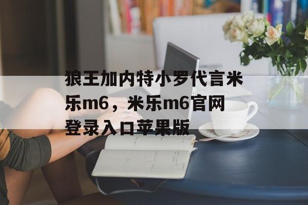 狼王加内特小罗代言米乐m6，米乐m6官网登录入口苹果版